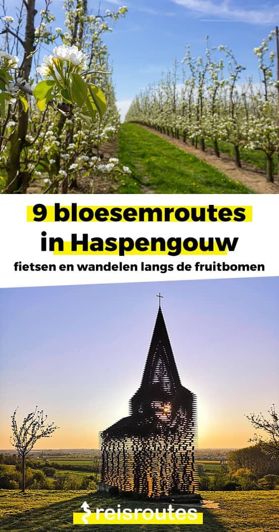 Pinterest Bloesemroute 2024 Haspengouw, ontdek de bloesemstreek Limburg