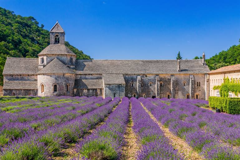Abbaye de Sénanque en Provence