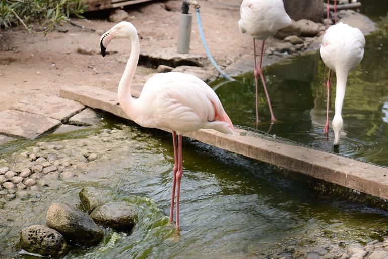 Agadir Birds Valley - Vallée des Oiseaux bezoeken