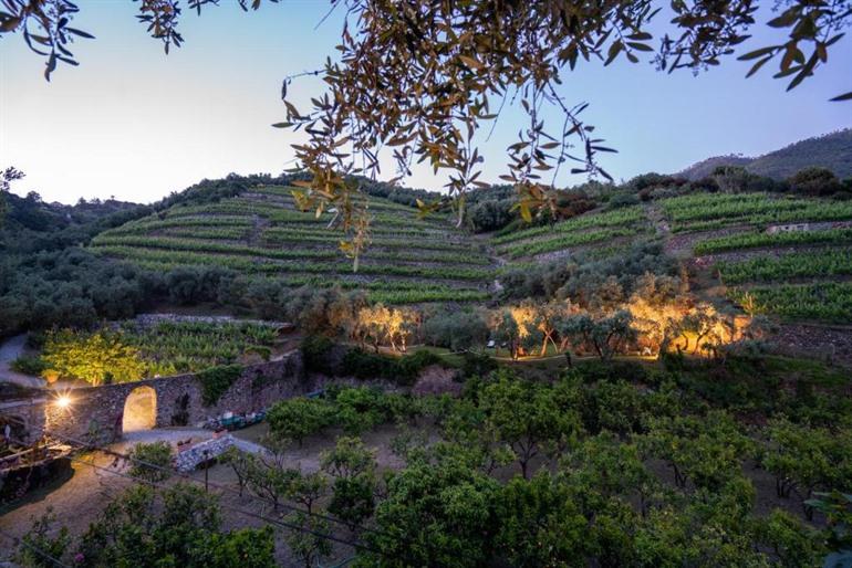 Agriturismo Buranco boeken