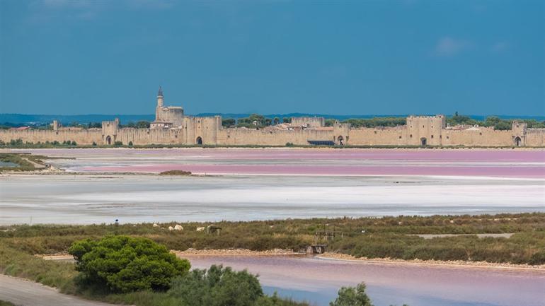 Aigues-Mortes zoutvlaktes