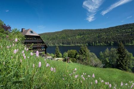 Waar overnachten aan de Titisee 2026? 10 x van goedkoop tot luxe