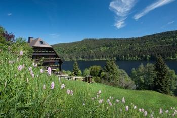 Alemannenhof - Boutique Hotel am Titisee boeken