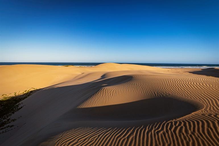 Alexandria Dune Field 