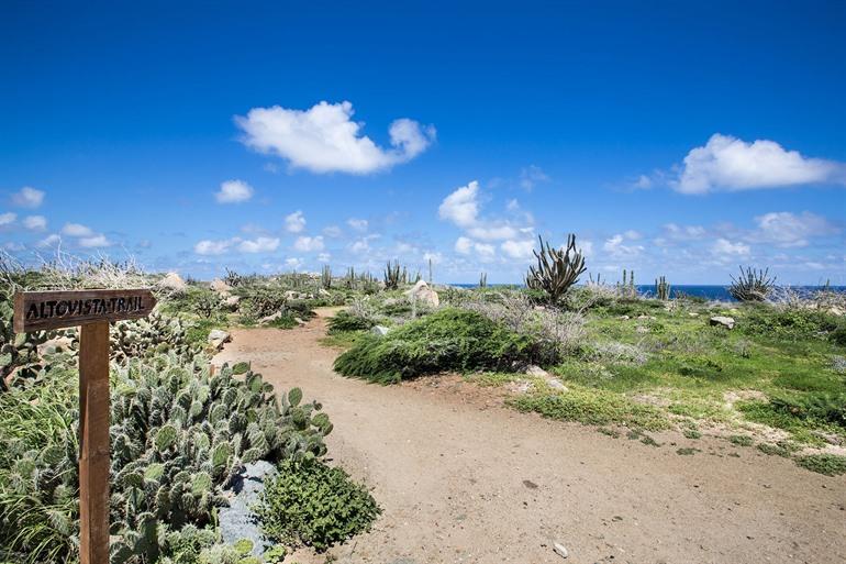 Alto Vista trail, Aruba