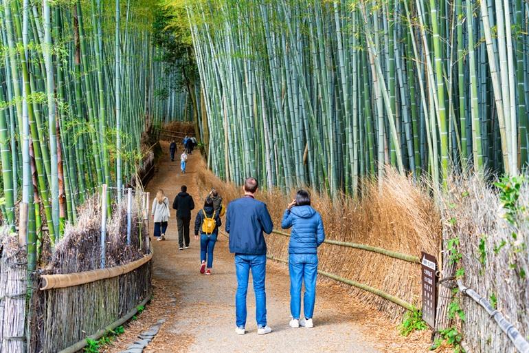 Arashiyama Bamboo Grove
