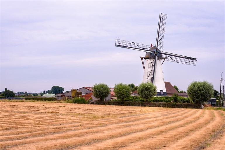 Artemeersmolen in Tielt, Brugse Ommeland 