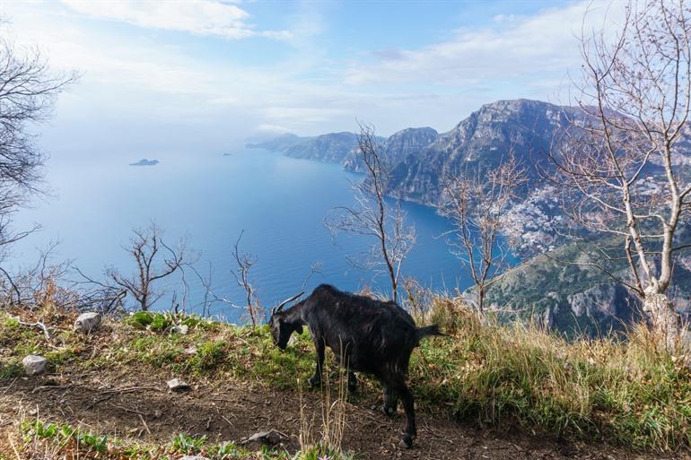 Authentiek Italië in Agerola