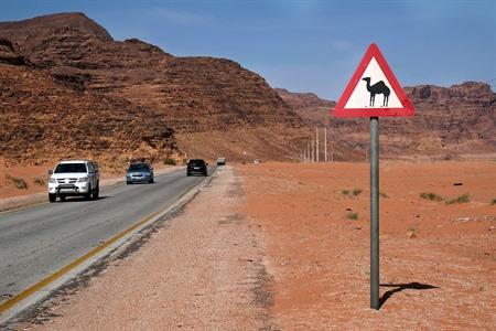 Auto huren voor je rondreis Jordanië? Alle praktische info + tips voor je verblijf