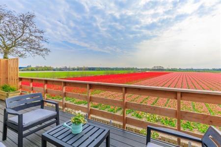 B&B Blossom in Lisse met uitzicht op de tulpenvelden