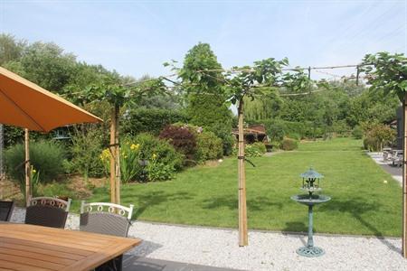 B&B het KoeKoeKsnest in Schelle