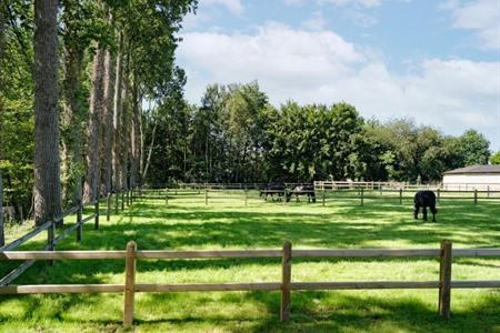 B&B St-Hubert boeken