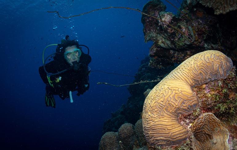 Bachelor's Beach, Bonaire