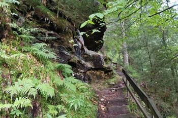 Bad Griesbach Teufelskanzelsteig wandeling