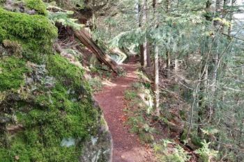 Bad Griesbach Teufelskanzelsteig wandeling