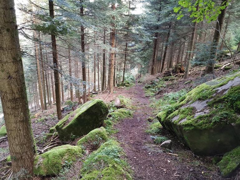 Bad Griesbach Teufelskanzelsteig wandeling