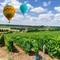 Ballonvaart boven de Champagnestreek