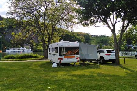 Bären-Camp tussen de glooiende wijnbergen in Bullay boeken