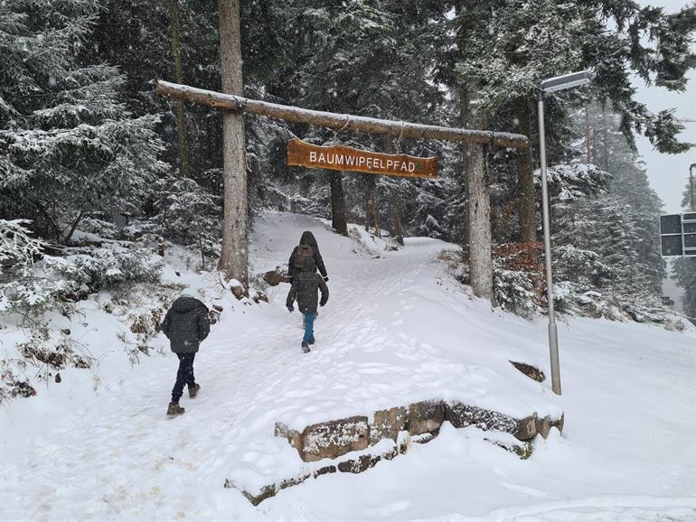 Baumwipfelpfad in het Zwarte Woud