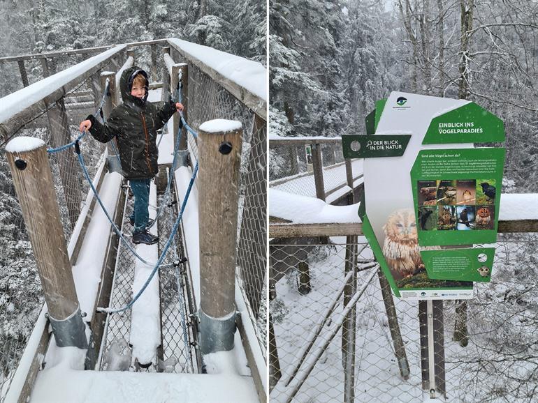 Baumwipfelpfad in het Zwarte Woud