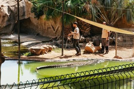 Beleef een onvergetelijke dag in Crocodile Park met het hele gezin