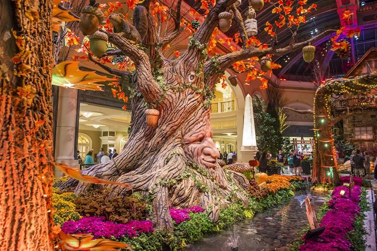 Bellagio Conservatory & Botanical Garden