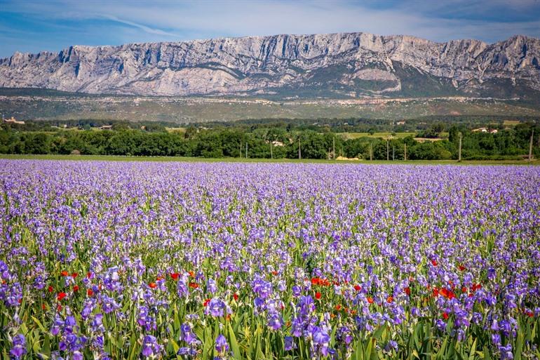 Bergmassief van Sainte-Victoire, Provence