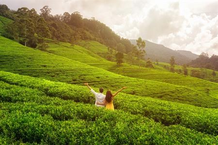 Bezienswaardigheden in Sri Lanka