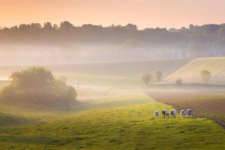 Bezienswaardigheden Vlaamse Ardennen