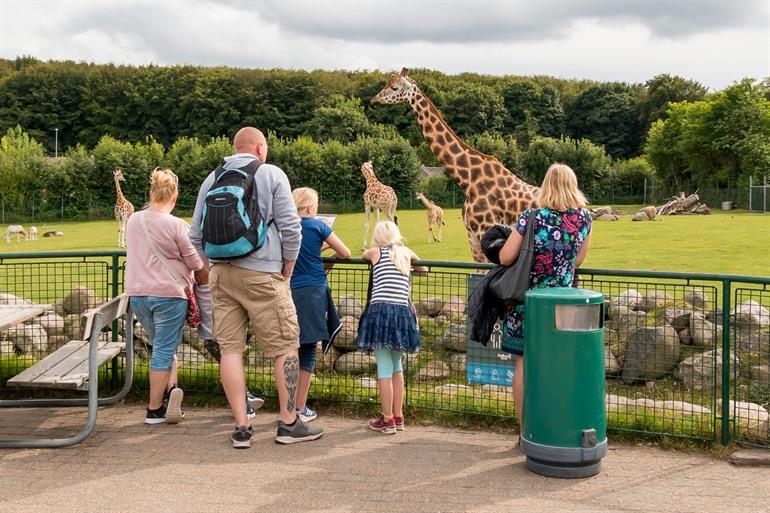 Bezoek de Aalborg Zoo, Denemarken
