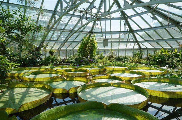 Bezoek de Gruson-kassen in Maagdenburg