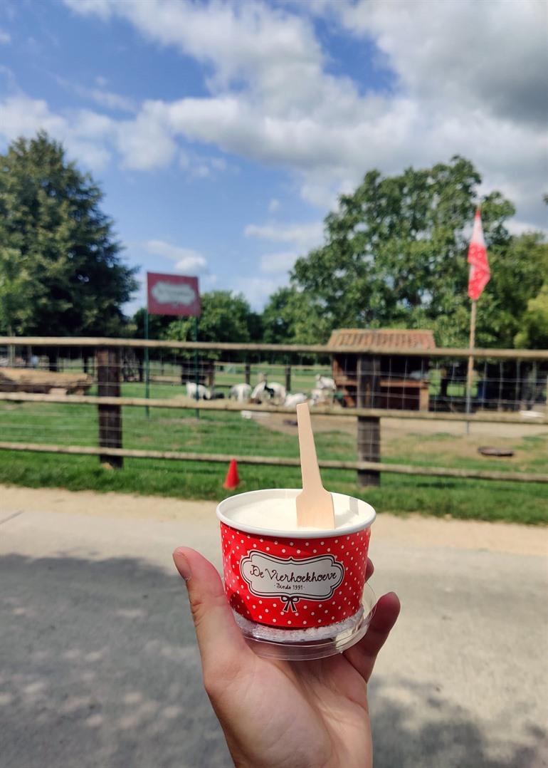 Bezoek de Vierhoekhoeve en hoevewinkel ‘Bella Boe’ 