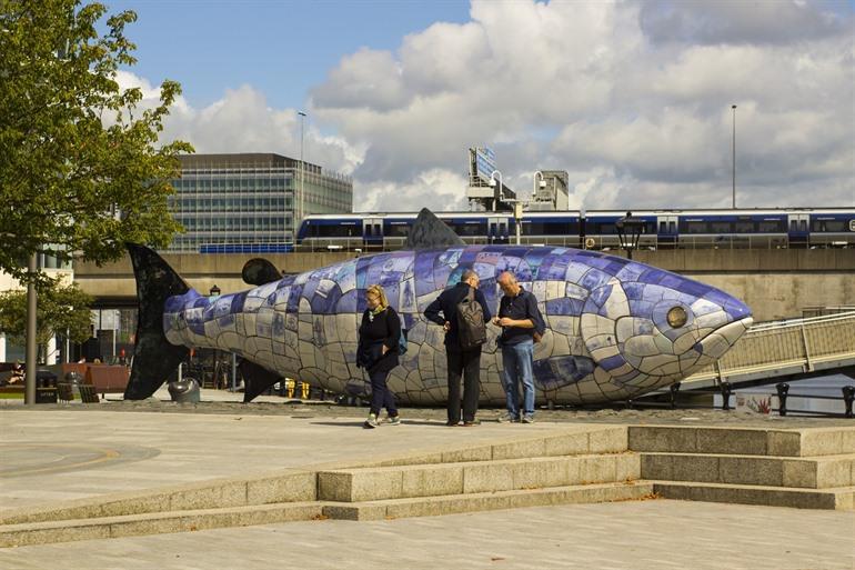 Big Fish of Salmon of Knowledge Belfast