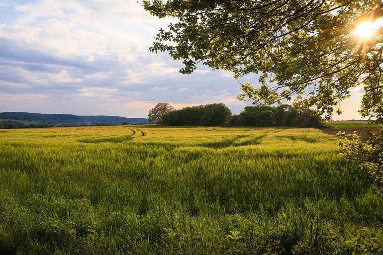 Biosfeerreservaat Bliesgau