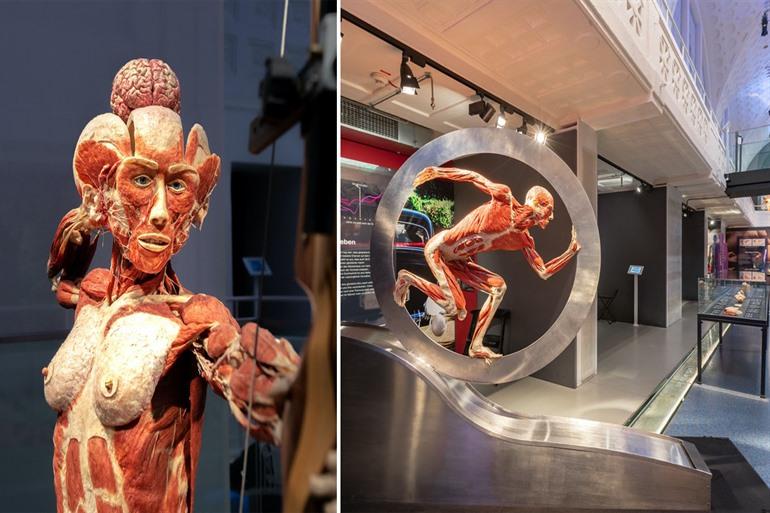 BODY WORLDS Museum in Heidelberg bezoeken
