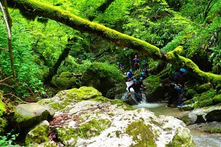 Boek een onvergetelijk canyoningavontuur in Talloires