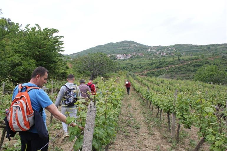 Boek een rondleiding door een wijnmakerij vanuit Berat