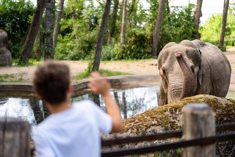 Boek hier een dag plezier in Burgers’ Zoo