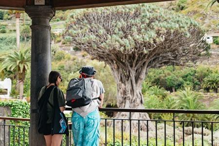 Boek hier je tickets voor de botanische tuin en bezoek de duizendjarige drakenboom
