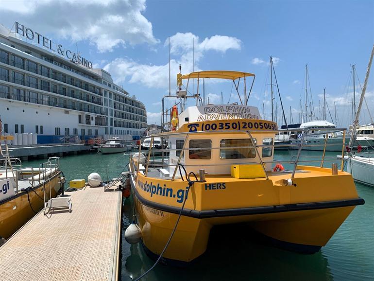 Boek je boottocht dolfijnen spotten in Gibraltar 