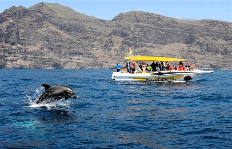 Boek je excursie dolfijnen en walvissen spotten vanuit Los Gigantes