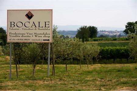 Boek je rondleiding door een wijnmakerij en wijngaard in Montefalco