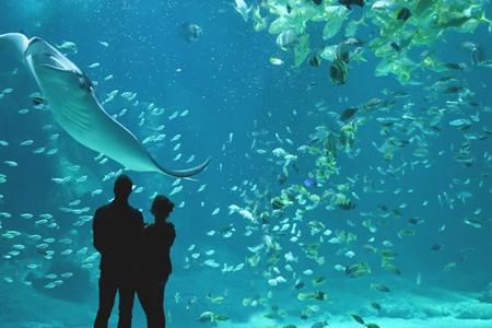 Boek je Skip-the-Line tickets voor Nausicaá in Boulogne-sur-Mer