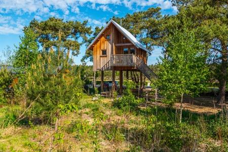 Boomhut EuroParcs De Wije Werelt boeken