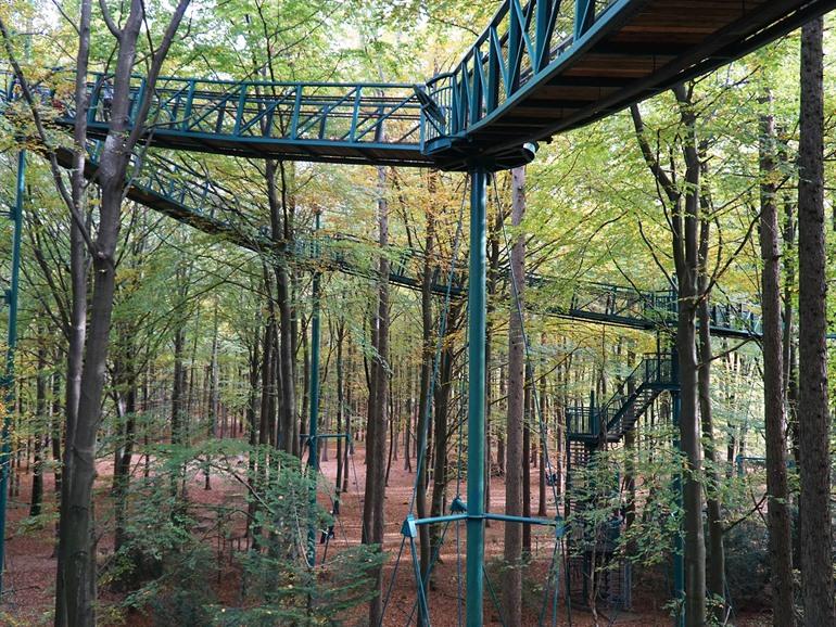 Boomkronenpad in Drenthe