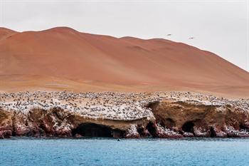 Bootexcursie naar de Islas Ballestas