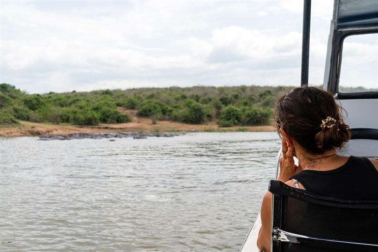 Bootsafari's met zicht op nijlpaarden