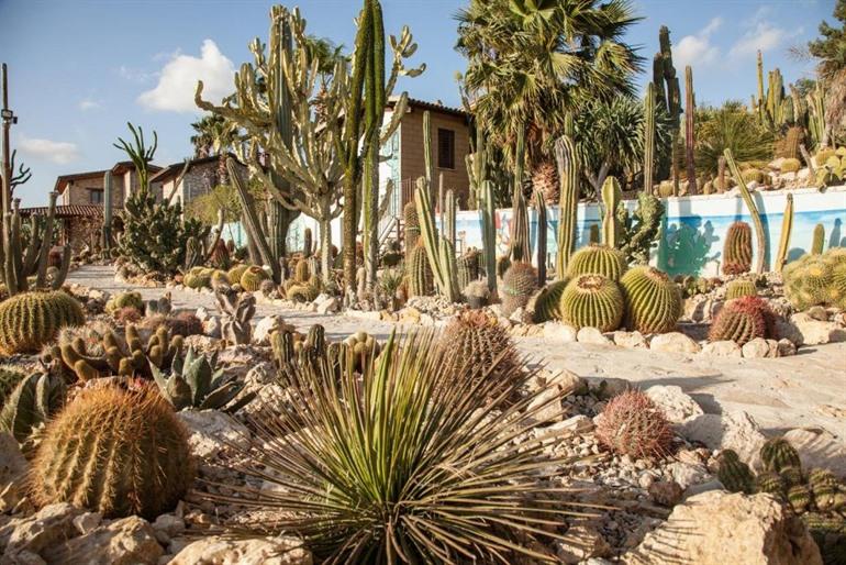 Botanical Park Garden Cactus boeken