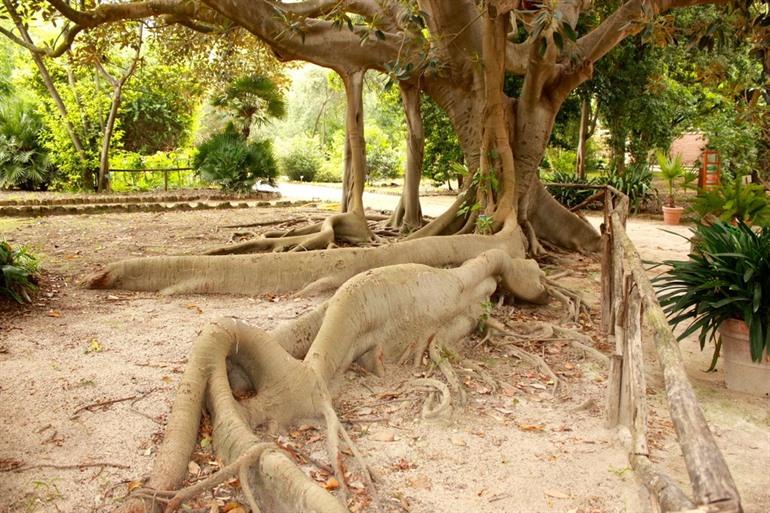 Botanische Tuin Cagliari