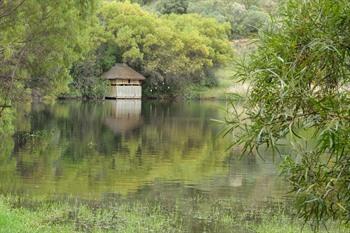 Botanische tuin in Bloemfontein